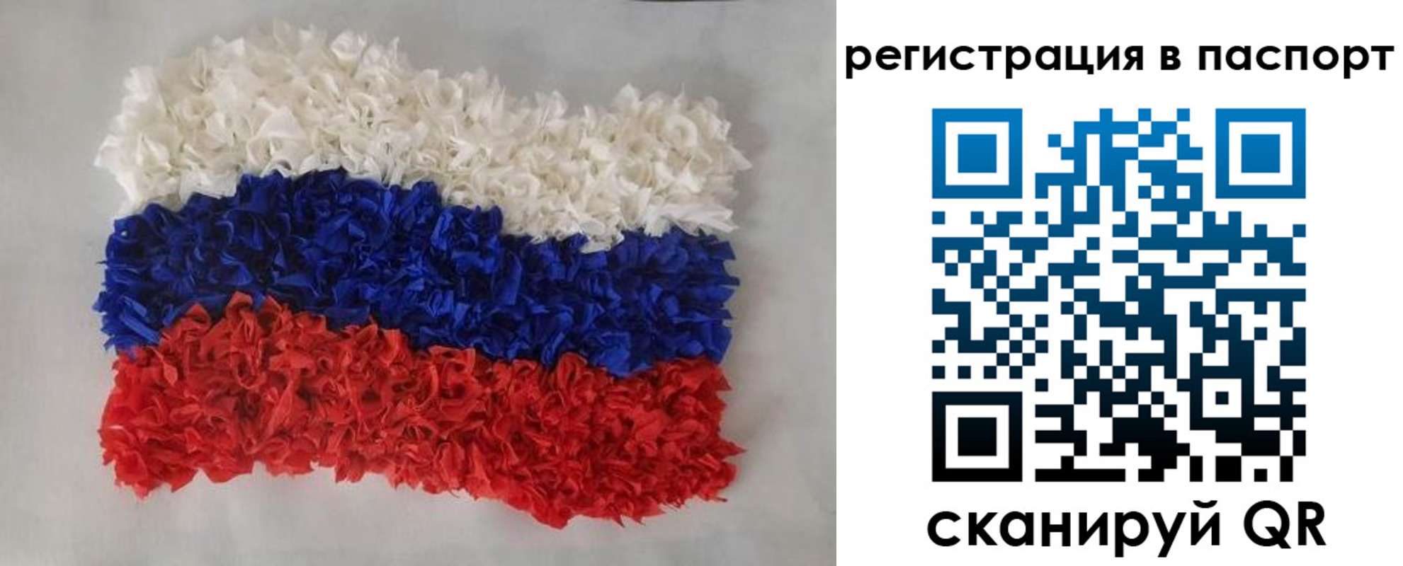 прописка регистрация в Электрогорске